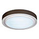Потолочный светодиодный светильник iLedex Summery B6233-91W/520 WH