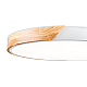 Потолочный светильник Freya Сприда / Sprida FR6129CL-L80W