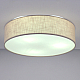 Потолочный светильник LightHall Turdan 50 LH022032