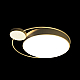 Потолочный светодиодный светильник Loft It Mike 10063