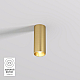 Потолочный светодиодный светильник Denkirs Shine Tube DK2615-SB