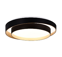 Потолочный светильник Evoluce Crosby SLE6009-402-01
