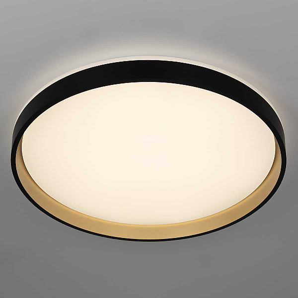 Потолочный светильник Citilux CL753511G
