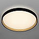 Потолочный светильник Citilux CL753511G
