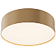 Потолочный светодиодный светильник Maytoni Technical Zon C032CL-24W4K-RD-MG