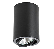 Накладной светильник Lightstar Rullo 214407