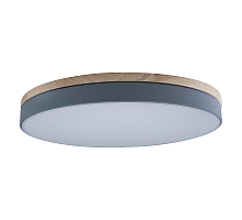 Потолочный светильник Loft IT AXEL 10001/36 Grey
