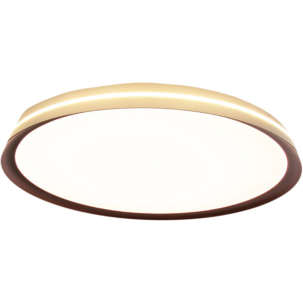 Потолочный светильник Mizi'en Titan MZ31502-430