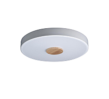 Потолочный светильник Loft IT AXEL 10003/24 White