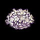 Потолочный светильник Loft IT Clizia 10231/530C Purple