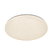 Потолочный светильник Escada 10213/SG LED