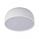 Потолочный светодиодный светильник Loft IT Axel 10201/350 White