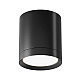 Потолочный светильник Maytoni Technical Hoop C086CM-GX53-MRD-B