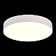 Потолочный светодиодный светильник ST Luce ST606.532.48