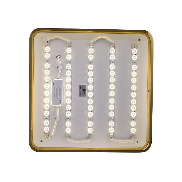 Потолочный светодиодный светильник Zortes Monna ZRS.1209.03