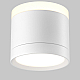 Потолочный светильник Maytoni Technical C120CL-GX53-W