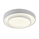 Потолочный светодиодный светильник MyFar Ceiling Rhea MR9160-CL