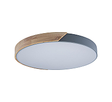 Потолочный светильник Loft IT AXEL 10004/36 Grey
