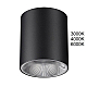 Потолочный светильник Odeon Light HIGHTECH 7138/12CL