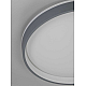 Потолочный светильник Citilux CL753453G