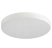 Потолочный светильник Эра Relict 38 SPB-6-40 4К WH Б0059504