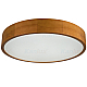 Настенно-потолочный светильник Kanlux JASMIN 470-G/O 36442