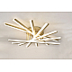 Потолочная светодиодная люстра Rivoli Cordelia 6184-701 Б0068441