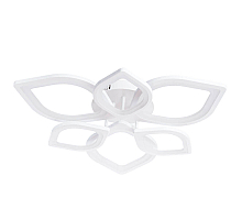 Потолочный светодиодный светильник Arte Lamp Polli A2531PL-6WH
