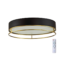Потолочный светильник Sonex Lofty 7723/100L