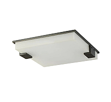 Потолочный светильник Delight Collection 8212C/500 black/white