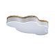 Потолочный светодиодный светильник Loft IT Axel 10005/36 white