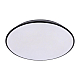 Потолочный светодиодный светильник Loft IT Brim 10226 Black