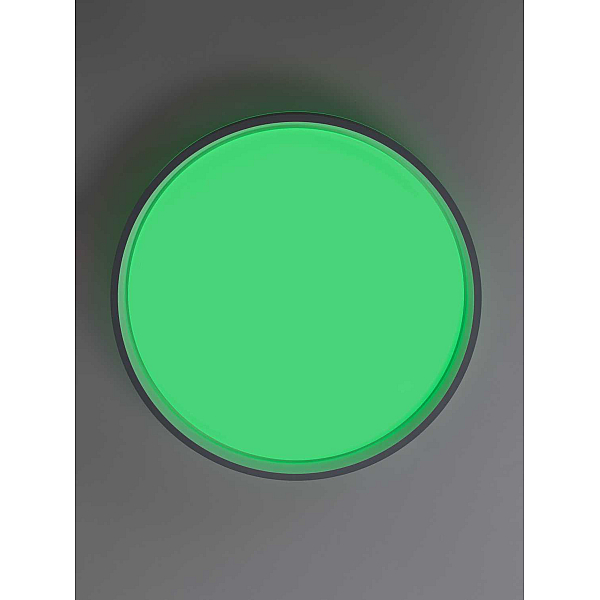 Потолочный светильник Citilux CL753453G