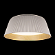 Потолочный светодиодный светильник Loft IT Evans 10224 White