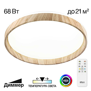 Потолочный светильник Citilux Enzo CL753452G