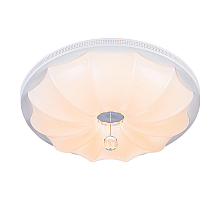 Потолочный светодиодный светильник Escada 10231/S LED