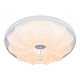 Потолочный светодиодный светильник Escada 10231/S LED