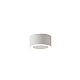 Потолочный светильник Crystal Lux CLT 074C WH