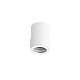 Потолочный светильник Crystal Lux CLT 422C WH