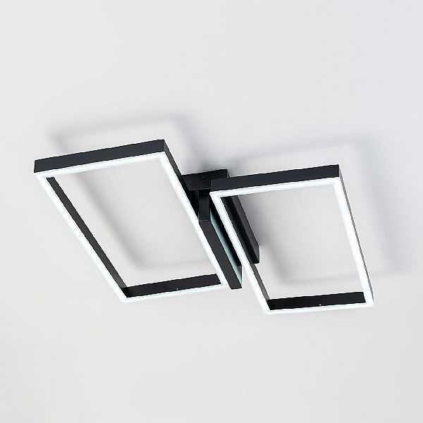 Потолочный светодиодный светильник Escada Scales 10209/2LED Black