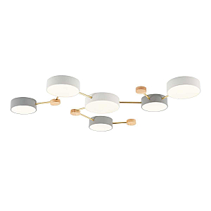 Потолочный светильник Evoluce Dossena SLE600102-06