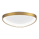 Потолочный светодиодный светильник Citilux Genka Smart CL756A142