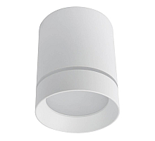 Потолочный светодиодный светильник Arte Lamp A1909PL-1WH