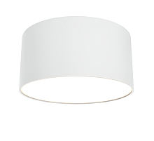 Потолочный светильник Maytoni Zon C032CL-12W3K-RD-W