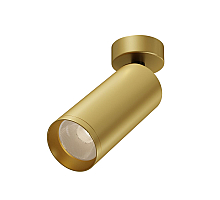 Потолочный светильник Maytoni Technical Focus C017CW-01MG-N
