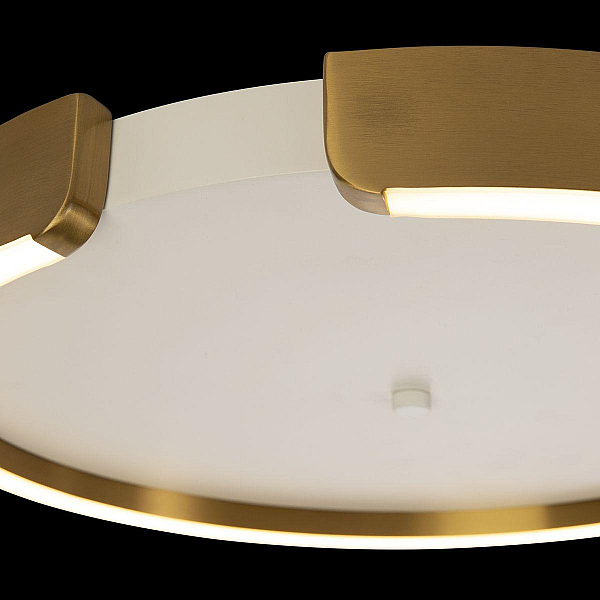 Потолочный светодиодный светильник Loft It Ring 10026
