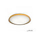 Потолочный светильник iLedex Chameleon 24W ORANGE