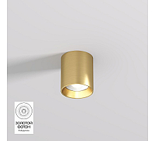 Накладной светильник Denkirs Shine tube DK2610-SB