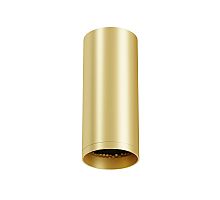Потолочный светильник Maytoni Technical Focus C010CL-01MG-N