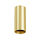 Потолочный светильник Maytoni Technical Focus C010CL-01MG-N